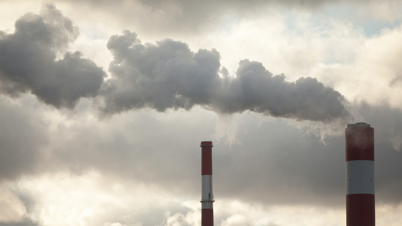 Insights: Business Responds to Climate Change